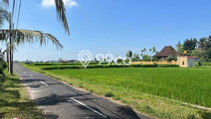 Jual Rumah Harga Miring Gianyar Punya 1 Kamar & LT 300m2 Jual Rumah Harga Miring Gianyar Punya 1 Kamar & LT 300m2