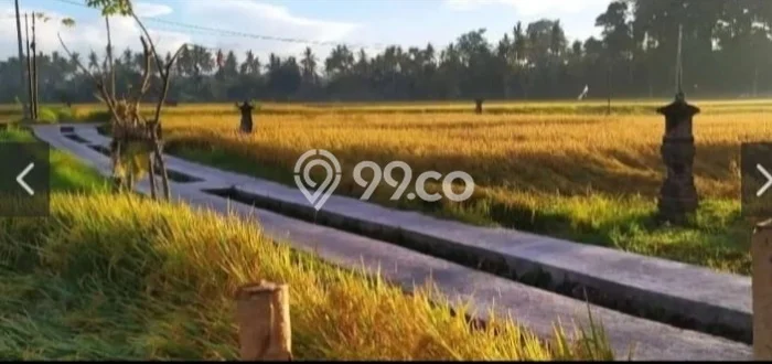 Jual Rumah Harga Miring Gianyar Punya 1 Kamar & LT 300m2 Jual Rumah Harga Miring Gianyar Punya 1 Kamar & LT 300m2