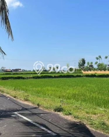 BEST DEAL! Hunian Disewakan dengan Harga Terjangkau di Gianyar BEST DEAL! Hunian Disewakan dengan Harga Terjangkau di Gianyar
