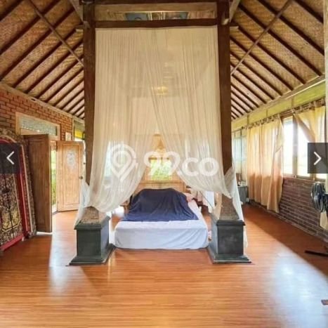 Disewakan Rumah Harga Terjangkau di Sayan Gianyar dengan 1 KT Disewakan Rumah Harga Terjangkau di Sayan Gianyar dengan 1 KT