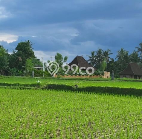Disewakan Rumah Harga Terjangkau di Sayan Gianyar dengan 1 KT Disewakan Rumah Harga Terjangkau di Sayan Gianyar dengan 1 KT