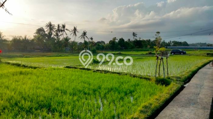 Rumah Sewa Gianyar LT 300m2 LB 160m2 Area Sayan Rumah Sewa Gianyar LT 300m2 LB 160m2 Area Sayan