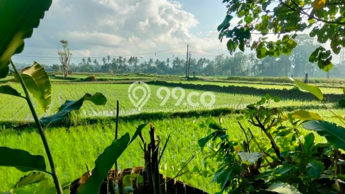 Disewakan Rumah Harga Terjangkau di Sayan Gianyar dengan 1 KT Disewakan Rumah Harga Terjangkau di Sayan Gianyar dengan 1 KT
