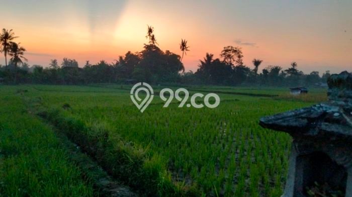 Disewakan Rumah Harga Terjangkau di Sayan Gianyar dengan 1 KT Disewakan Rumah Harga Terjangkau di Sayan Gianyar dengan 1 KT
