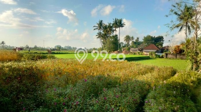Rumah Sewa Gianyar LT 300m2 LB 160m2 Area Sayan Rumah Sewa Gianyar LT 300m2 LB 160m2 Area Sayan