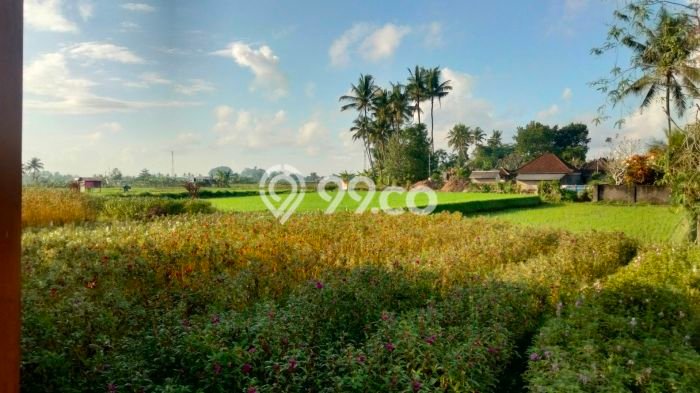 Rumah Bagus Siap Huni Di Ubud Luas 120m2 Aman Rumah Bagus Siap Huni Di Ubud Luas 120m2 Aman
