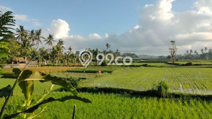 Rumah Bagus Siap Huni Di Ubud Luas 120m2 Aman Rumah Bagus Siap Huni Di Ubud Luas 120m2 Aman