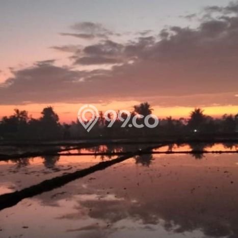 BEST DEAL! Hunian Disewakan dengan Harga Terjangkau di Gianyar BEST DEAL! Hunian Disewakan dengan Harga Terjangkau di Gianyar