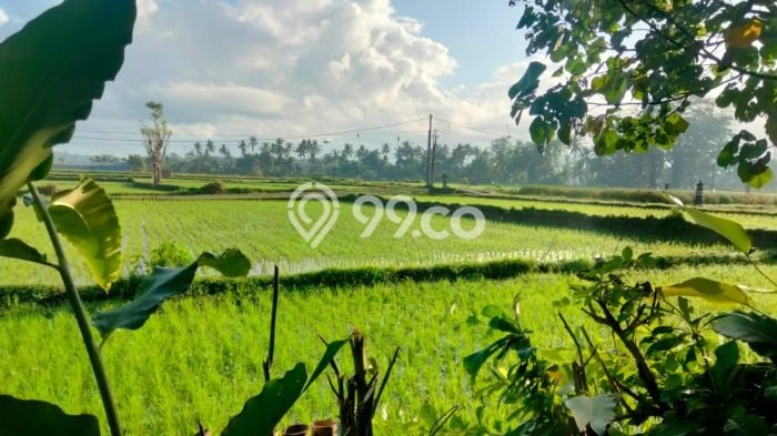 BEST DEAL! Hunian Disewakan dengan Harga Terjangkau di Gianyar BEST DEAL! Hunian Disewakan dengan Harga Terjangkau di Gianyar