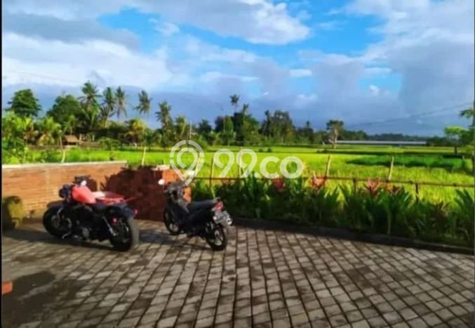 BEST DEAL! Hunian Disewakan dengan Harga Terjangkau di Gianyar BEST DEAL! Hunian Disewakan dengan Harga Terjangkau di Gianyar