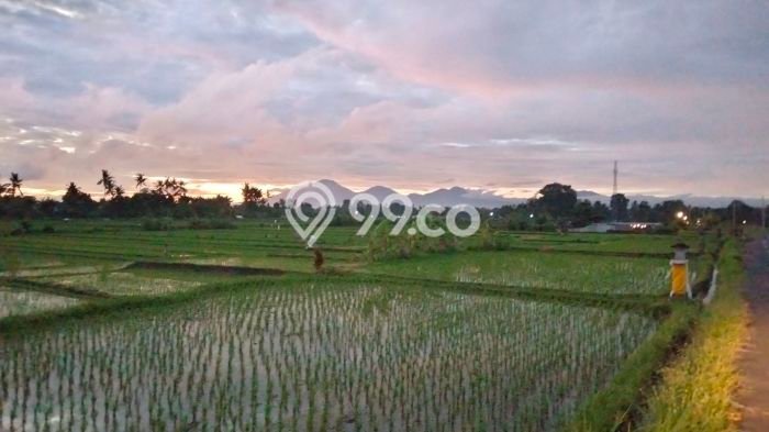 BEST DEAL! Hunian Disewakan dengan Harga Terjangkau di Gianyar BEST DEAL! Hunian Disewakan dengan Harga Terjangkau di Gianyar