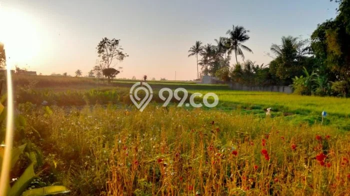 Dijual Rumah 1 Kamar Lokasi Ideal Bagus dan Strategis di Gianyar Dijual Rumah 1 Kamar Lokasi Ideal Bagus dan Strategis di Gianyar