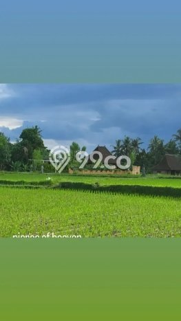 Jarang Ada! Rumah Kontrakan 2 Kamar Nyaman Siap Huni Sayan Jarang Ada! Rumah Kontrakan 2 Kamar Nyaman Siap Huni Sayan
