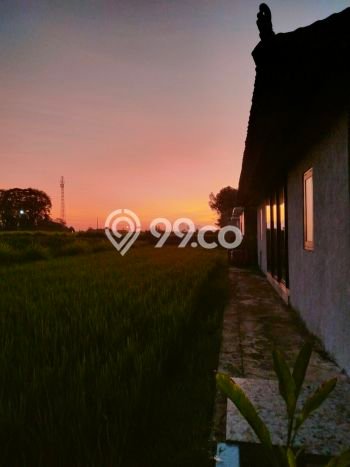 Disewakan Segera Rumah Kondisi Baik di Kawasan Gianyar, Gianyar Disewakan Segera Rumah Kondisi Baik di Kawasan Gianyar, Gianyar