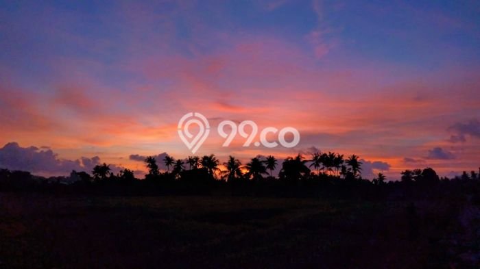 Disewakan Segera Rumah Kondisi Baik di Kawasan Gianyar, Gianyar Disewakan Segera Rumah Kondisi Baik di Kawasan Gianyar, Gianyar