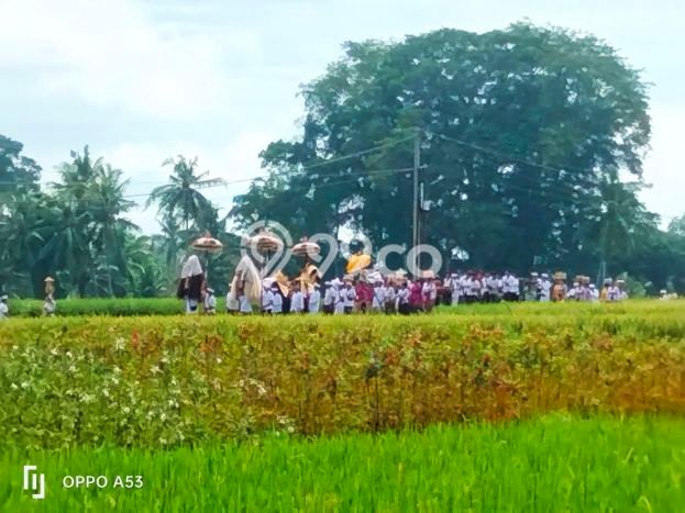 Disewakan Segera Rumah Kondisi Baik di Kawasan Gianyar, Gianyar Disewakan Segera Rumah Kondisi Baik di Kawasan Gianyar, Gianyar