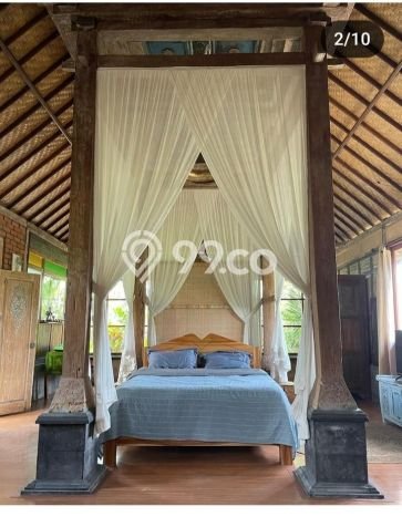 Rumah sewa siap huni 1 Kamar Tidur di Sayan, Gianyar Rumah sewa siap huni 1 Kamar Tidur di Sayan, Gianyar