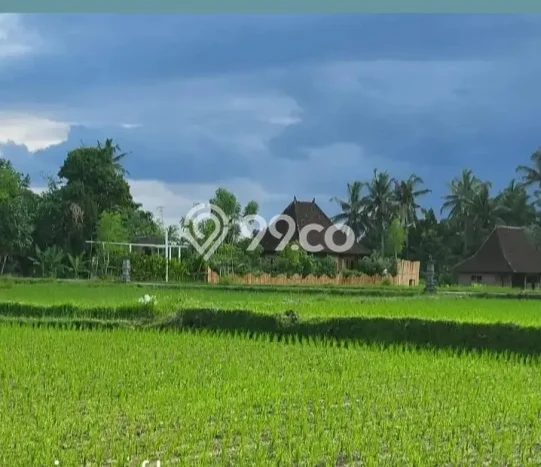 Jual Rumah Harga Miring Gianyar Punya 1 Kamar & LT 300m2 Jual Rumah Harga Miring Gianyar Punya 1 Kamar & LT 300m2