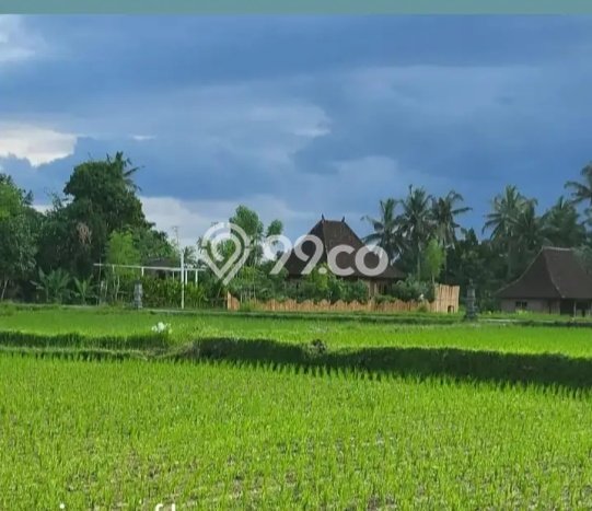 Disewakan Hunian Konsep Minimalis di Gianyar Gianyar dengan 2 KT Disewakan Hunian Konsep Minimalis di Gianyar Gianyar dengan 2 KT