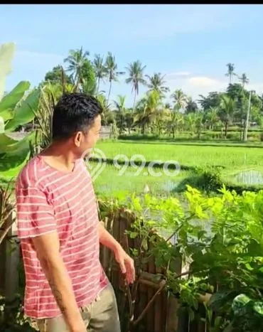 Dijual Rumah 1 Kamar Lokasi Ideal Bagus dan Strategis di Gianyar Dijual Rumah 1 Kamar Lokasi Ideal Bagus dan Strategis di Gianyar