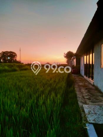 Disewakan segera hunian minimalis lokasi strategis 3 Kamar di Gianyar, Gianyar Disewakan segera hunian minimalis lokasi strategis 3 Kamar di Gianyar, Gianyar