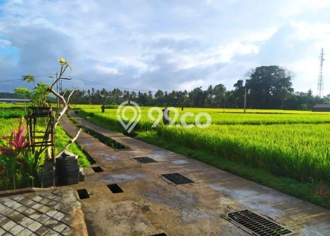 Rumah Bagus Siap Huni Di Gianyar Luas 150m2 Lokasi Strategis Rumah Bagus Siap Huni Di Gianyar Luas 150m2 Lokasi Strategis