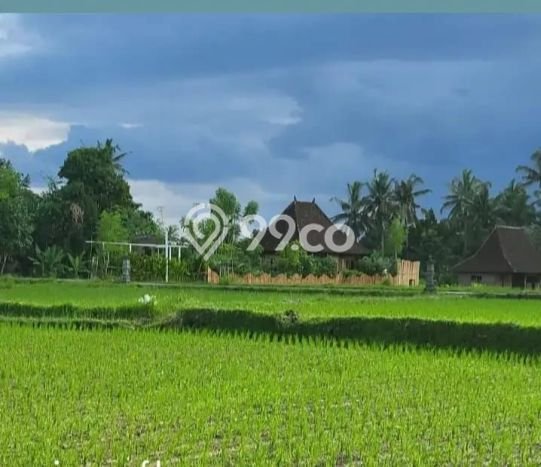 Disewakan segera hunian minimalis lokasi strategis 3 Kamar di Gianyar, Gianyar Disewakan segera hunian minimalis lokasi strategis 3 Kamar di Gianyar, Gianyar