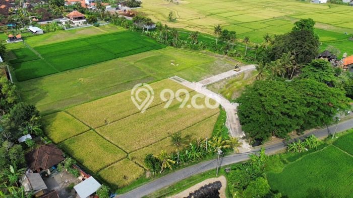 Rumah Budget Terbaik Siap Huni Area Gianyar LT 200m2 Rumah Budget Terbaik Siap Huni Area Gianyar LT 200m2