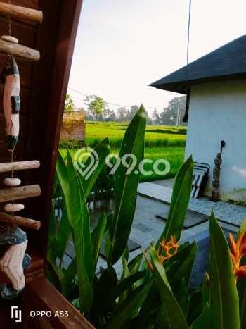 Dijual Rumah 3 Kamar Lokasi Ideal Nyaman dan Strategis di Ubud Dijual Rumah 3 Kamar Lokasi Ideal Nyaman dan Strategis di Ubud