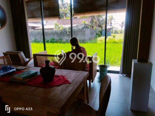 Sewa cepat rumah minimalis strategis 1 Kamar di Ubud, Gianyar Sewa cepat rumah minimalis strategis 1 Kamar di Ubud, Gianyar