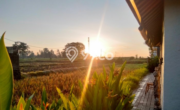 Jual Rumah Harga Miring Gianyar Punya 1 Kamar & LT 300m2 Jual Rumah Harga Miring Gianyar Punya 1 Kamar & LT 300m2