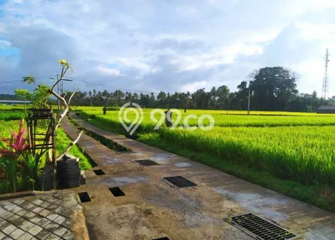 Jual Rumah Harga Miring Gianyar Punya 1 Kamar & LT 300m2 Jual Rumah Harga Miring Gianyar Punya 1 Kamar & LT 300m2