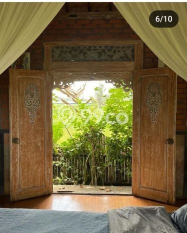Rumah sewa siap huni 1 Kamar Tidur di Sayan, Gianyar Rumah sewa siap huni 1 Kamar Tidur di Sayan, Gianyar