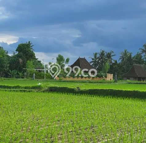 Jual Rumah Harga Miring Gianyar Punya 1 Kamar & LT 300m2 Jual Rumah Harga Miring Gianyar Punya 1 Kamar & LT 300m2