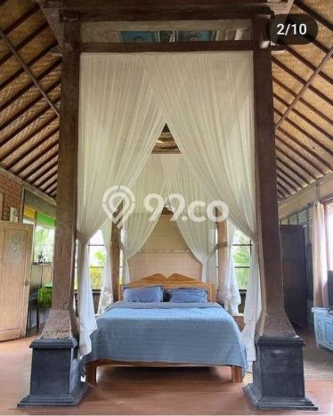 Rumah sewa siap huni 1 Kamar Tidur di Sayan, Gianyar Rumah sewa siap huni 1 Kamar Tidur di Sayan, Gianyar