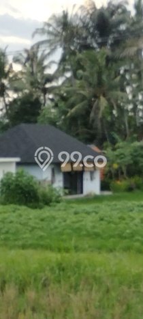 Sewa cepat rumah minimalis strategis 1 Kamar di Ubud, Gianyar Sewa cepat rumah minimalis strategis 1 Kamar di Ubud, Gianyar