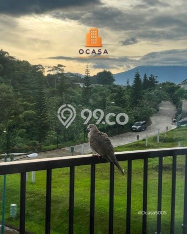 Jarang Ada! Tanah di Kuta Selatan Punya Luas 9700m2 SHM Jarang Ada! Tanah di Kuta Selatan Punya Luas 9700m2 SHM