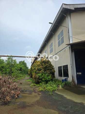Lokasi Strategis! Dijual Pabrik Bisnis di Balaraja, Tangerang Kondisi Baik Lokasi Strategis! Dijual Pabrik Bisnis di Balaraja, Tangerang Kondisi Baik