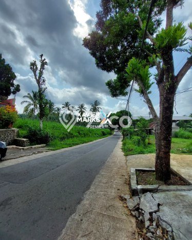 Tanah Dijual Lokasi Dampit Malang SHM Tanah Dijual Lokasi Dampit Malang SHM