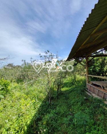 Tanah Kavling untuk Dijual di Bumiaji Batu 2500m2 Tanah Kavling untuk Dijual di Bumiaji Batu 2500m2