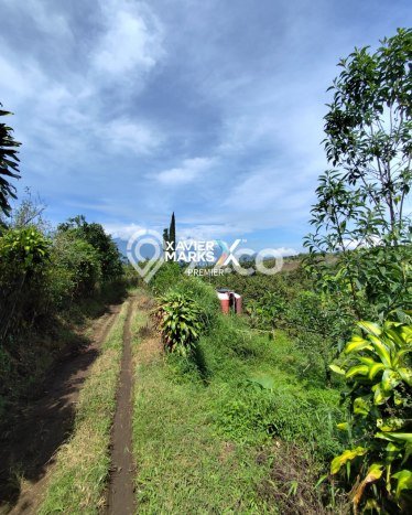 Tanah Kavling untuk Dijual di Bumiaji Batu 2500m2 Tanah Kavling untuk Dijual di Bumiaji Batu 2500m2