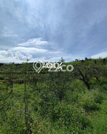 Tanah Kavling untuk Dijual di Bumiaji Batu 2500m2 Tanah Kavling untuk Dijual di Bumiaji Batu 2500m2