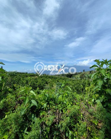 Tanah Kavling untuk Dijual di Bumiaji Batu 2500m2 Tanah Kavling untuk Dijual di Bumiaji Batu 2500m2