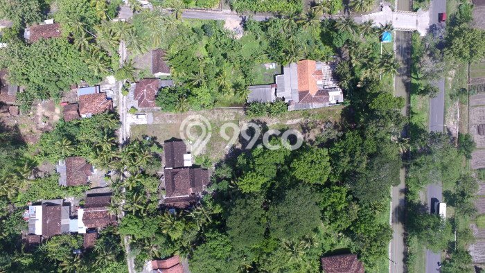 Kavling Tanah untuk Dijual di Kulonprogo, Kulon Progo, Luas 9800m2 Kavling Tanah untuk Dijual di Kulonprogo, Kulon Progo, Luas 9800m2