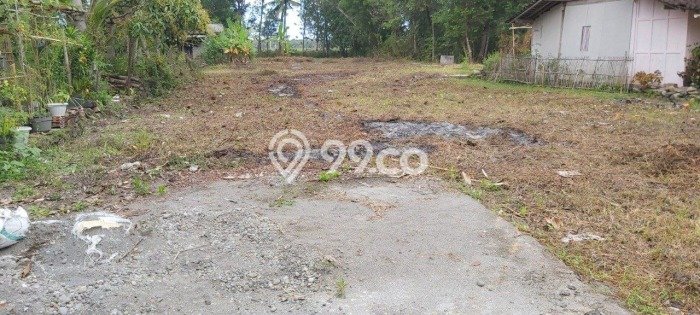 Kavling Tanah untuk Dijual di Kulonprogo, Kulon Progo, Luas 9800m2 Kavling Tanah untuk Dijual di Kulonprogo, Kulon Progo, Luas 9800m2