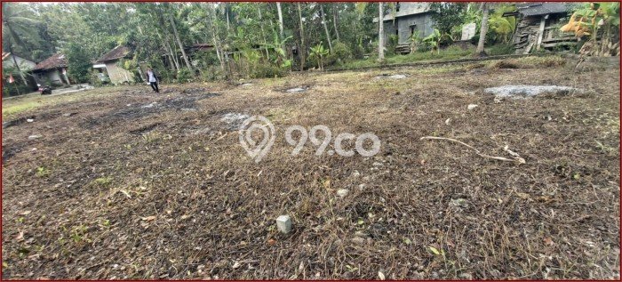 Untuk Dijual Tanah 98m2 di Kulonprogo, Kulon Progo Untuk Dijual Tanah 98m2 di Kulonprogo, Kulon Progo