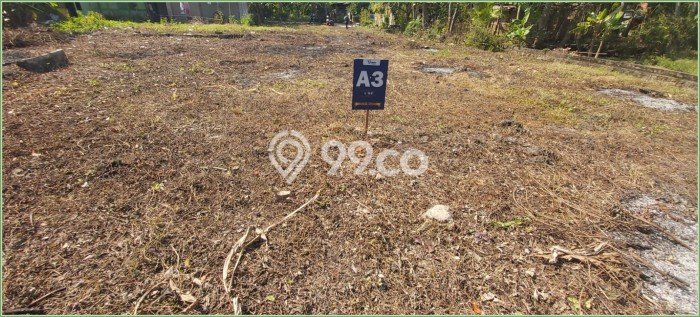Dijual Tanah 98m2 di Kulonprogo, Kulon Progo Dijual Tanah 98m2 di Kulonprogo, Kulon Progo