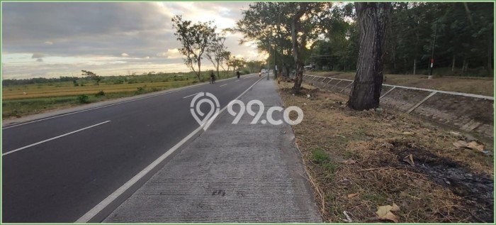Tanah Dijual Area Strategis di Kulonprogo Kulon Progo 9800m2 Tanah Dijual Area Strategis di Kulonprogo Kulon Progo 9800m2