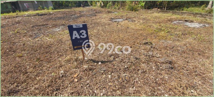 Tanah Kavling Dijual di Kulon Progo dengan Spesifikasi 98m2 Tanah Kavling Dijual di Kulon Progo dengan Spesifikasi 98m2