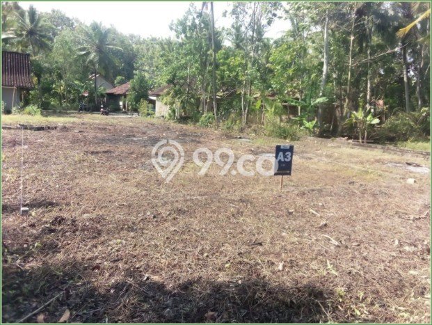 Tanah Kavling Dijual di Kulon Progo dengan Spesifikasi 98m2 Tanah Kavling Dijual di Kulon Progo dengan Spesifikasi 98m2